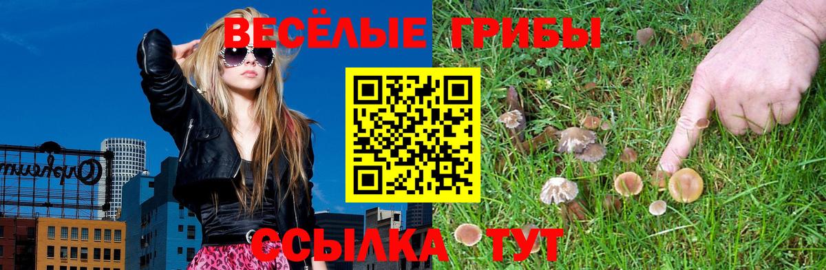 Новоалександровск  Галлюциногенные грибы ЛСД  Вход с VPN 