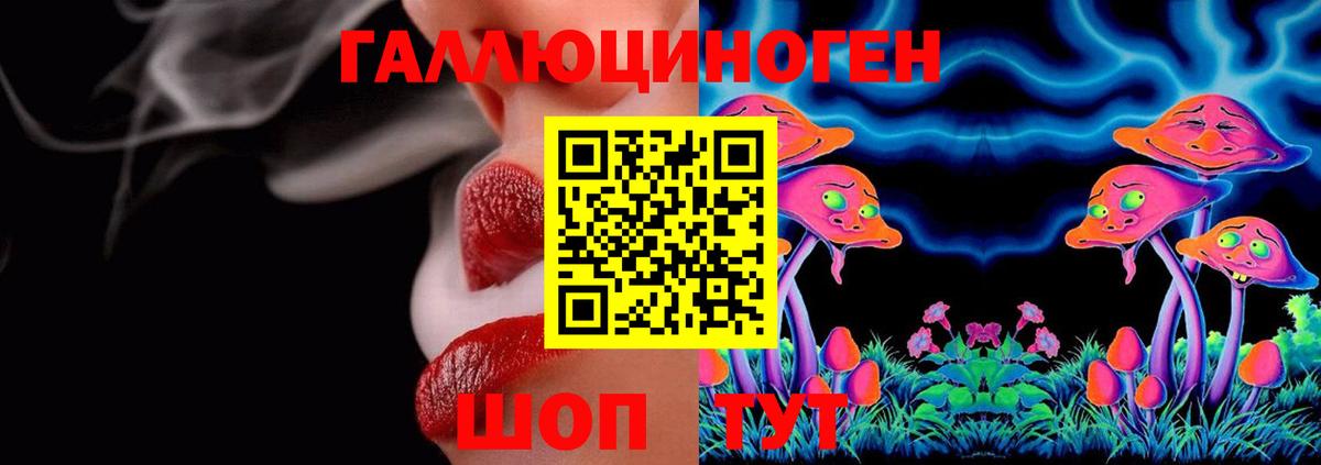 Псилоцибиновые грибы прущие грибы Новоалександровск